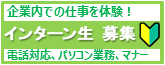 インターンシップ生募集中